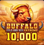 Buffalo Hold - Slot z bizonami i dzikim zachodem